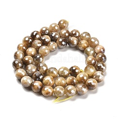Electroplated Natural Tiger Eye Round Beads Strands&nbsp;G-L598-A04-02