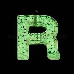 Luminous Resin Pendants&nbsp;X1-RESI-I059-R01