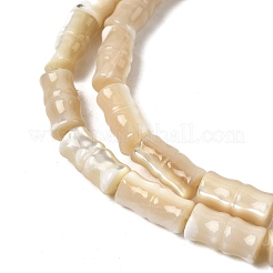 Natural Trochid Shell/Trochus Shell Beads Strands&nbsp;SHEL-A006-06B