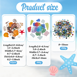 Plastic Shell & Glass  Aquarium Landscaping&nbsp;DIY-PH0035-11