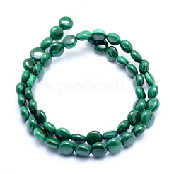 Natural Malachite Beads Strands&nbsp;G-D0011-06-8mm