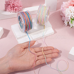 2 Rolls 2 Colors Segment Dyed Round Polyester Twisted Cords&nbsp;OCOR-TA0003-65C