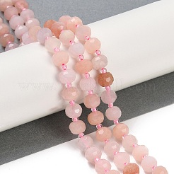 Natural Pink Aventurine Beads Strands&nbsp;G-H057-A07-01
