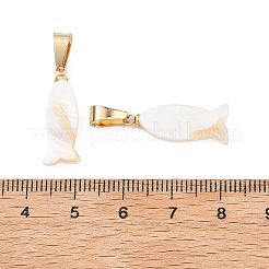 Natural Sea Shell Pendants&nbsp;PALLOY-JF05362