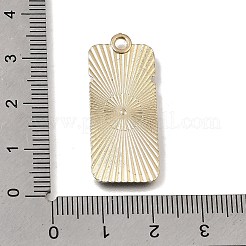Alloy with Enamel Pendants&nbsp;LS-AL-CBA91FD-01F
