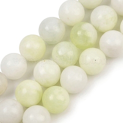 Natural New Jade Beads Strands&nbsp;G-K354-A01-01