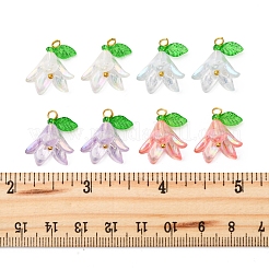 50Pcs Transparent Acrylic Pendants&nbsp;PALLOY-FS00038-04