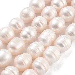 Natural Cultured Freshwater Pearl Beads Strands&nbsp;PEAR-P062-11A