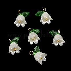 Acrylic Pendants&nbsp;OACR-D012-01C