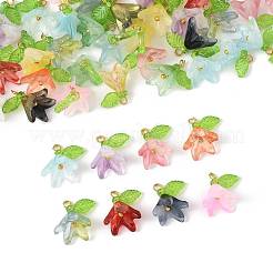 50Pcs Transparent Acrylic Pendants&nbsp;PALLOY-FS00043-02