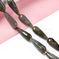 Natural Labradorite Beads Strands&nbsp;G-I328-07