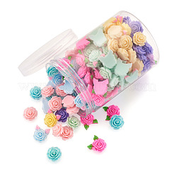 Opaque Resin Cabochon&nbsp;CRES-PJ0001-01