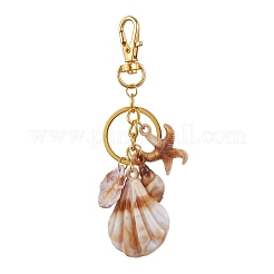 6Pcs 6 Styles Natural Shell Keychains&nbsp;KEYC-JKC01101