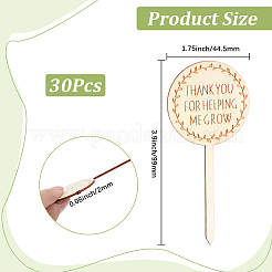 Wood Plant Labels&nbsp;DIY-GF0014-39B