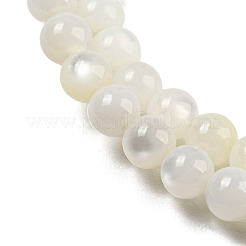 Natural Freshwater Shell Beads Strands&nbsp;BSHE-Z005-02