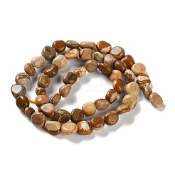 Natural Picture Jasper Beads Strands&nbsp;G-P497-01C-25
