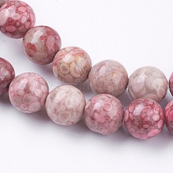 Natural Fossil Coral Beads Strands&nbsp;G-F563-01-8mm
