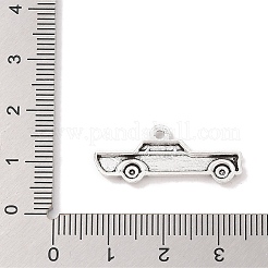 Tibetan Style Zinc Alloy Car Charms&nbsp;X-TIBEP-R334-295AS-RS
