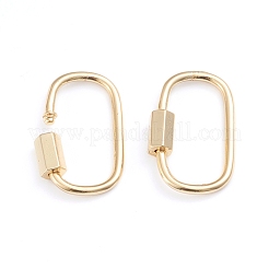 Brass Screw Carabiner Lock Charms&nbsp;X-ZIRC-I041-05G