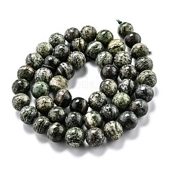 Natural Green Zebra Jasper Beads Strands&nbsp;G-L574-05B