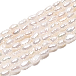 Natural Cultured Freshwater Pearl Beads Strands&nbsp;PEAR-N014-02B