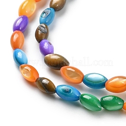 Natural Freshwater Shell Dyed Beads Strands&nbsp;SHEL-R129-06