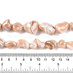 Natural Trochid Shell/Trochus Shell Beads Strands&nbsp;SSHEL-T017-01