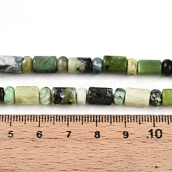 Natural Serpentine Beads Strands&nbsp;G-N346-03A-04