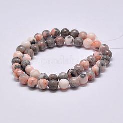 Natural Pink Zebra Jasper Beads Strands&nbsp;G-P231-01-4mm