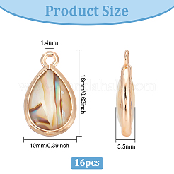 16Pcs Natural Paua Shell Pendants&nbsp;SHEL-BC0001-030