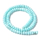 Natural Freshwater Shell Beads Strands&nbsp;SSHEL-C013-07B-2