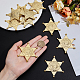 12Pcs Hexagram Plastic Cabochons&nbsp;AJEW-MA0001-18G-3
