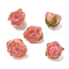 Brass Epoxy Resin Pendants, Inner Dried Flower Pendants, Rose Flower Charm, with Golden Loop, Pink, 19~27x21~27x19~28.5mm, Hole: 1.6mm