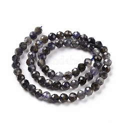 Natural Iolite Beads Strands&nbsp;G-P488-02B