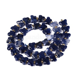 Natural Sodalite Beads Strands&nbsp;G-N371-10A-03