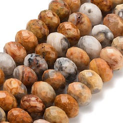 Natural Crazy Agate Beads Strands&nbsp;G-C259-A04-6x10mm