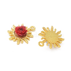 Alloy Resin Pendants&nbsp;PALLOY-S056-01G