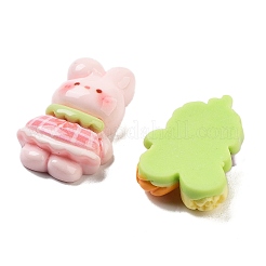 Cute Opaque Resin Decoden Cabochons&nbsp;RESI-S04-08