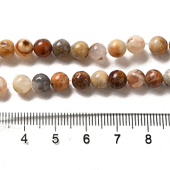 Natural Crazy Lace Agate Round Bead Strands&nbsp;X-G-M272-03-6mm