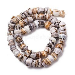 Natural Shell Beads Strands&nbsp;SH-CBA2978-03