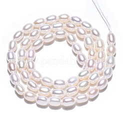Natural Cultured Freshwater Pearl Beads Strands&nbsp;PEAR-N012-04H