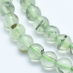 Natural Prehnite Beads Strands&nbsp;G-E483-07B-8mm