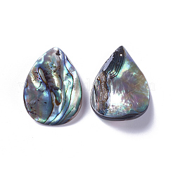 Natural Abalone Shell/Paua Shell Pendants&nbsp;SSHEL-F303-07
