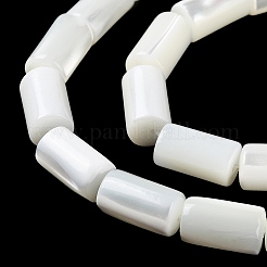 Natural Trochus Shell Beads Strands&nbsp;X-BSHE-Z003-18