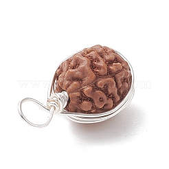 Natural Rudraksha Copper Wire Wrapped Pendants&nbsp;PALLOY-JF02066-01