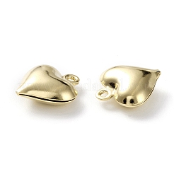 Brass Charms&nbsp;KK-H739-03C-G