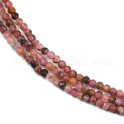 Natural Rhodonite Beads Strands&nbsp;LS-G-RM2025-B35-2mm-B