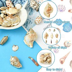 16pcs 8 Styles Electroplated Natural Mixed Shell Big Pendants&nbsp;SSHEL-CJ0001-21