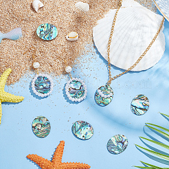 Natural Paua Shell Cabochons&nbsp;SHEL-BC0001-029A