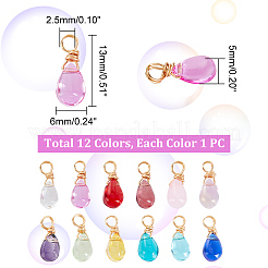 12Pcs 12 Color Glass Charms&nbsp;PALLOY-AB00038